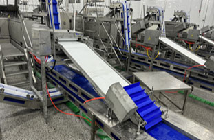 Hongcheng Poultry Peeling Machine - Patent Product, Core Technology